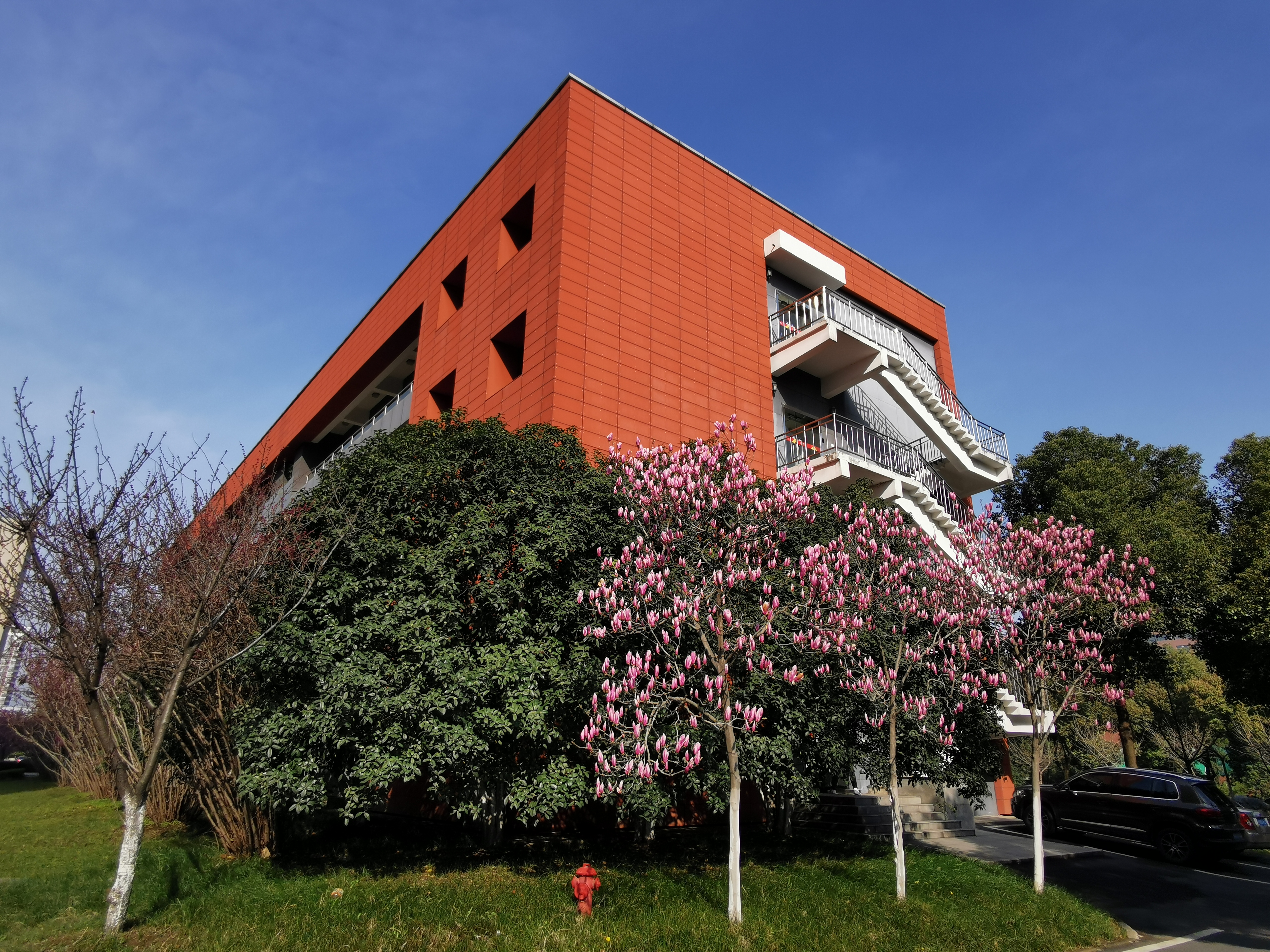 <a href='/2021/0609/c41803a729401/page.htm' target='_blank' title='【风物志】实验室春景'>【风物志】实验室春景</a>
