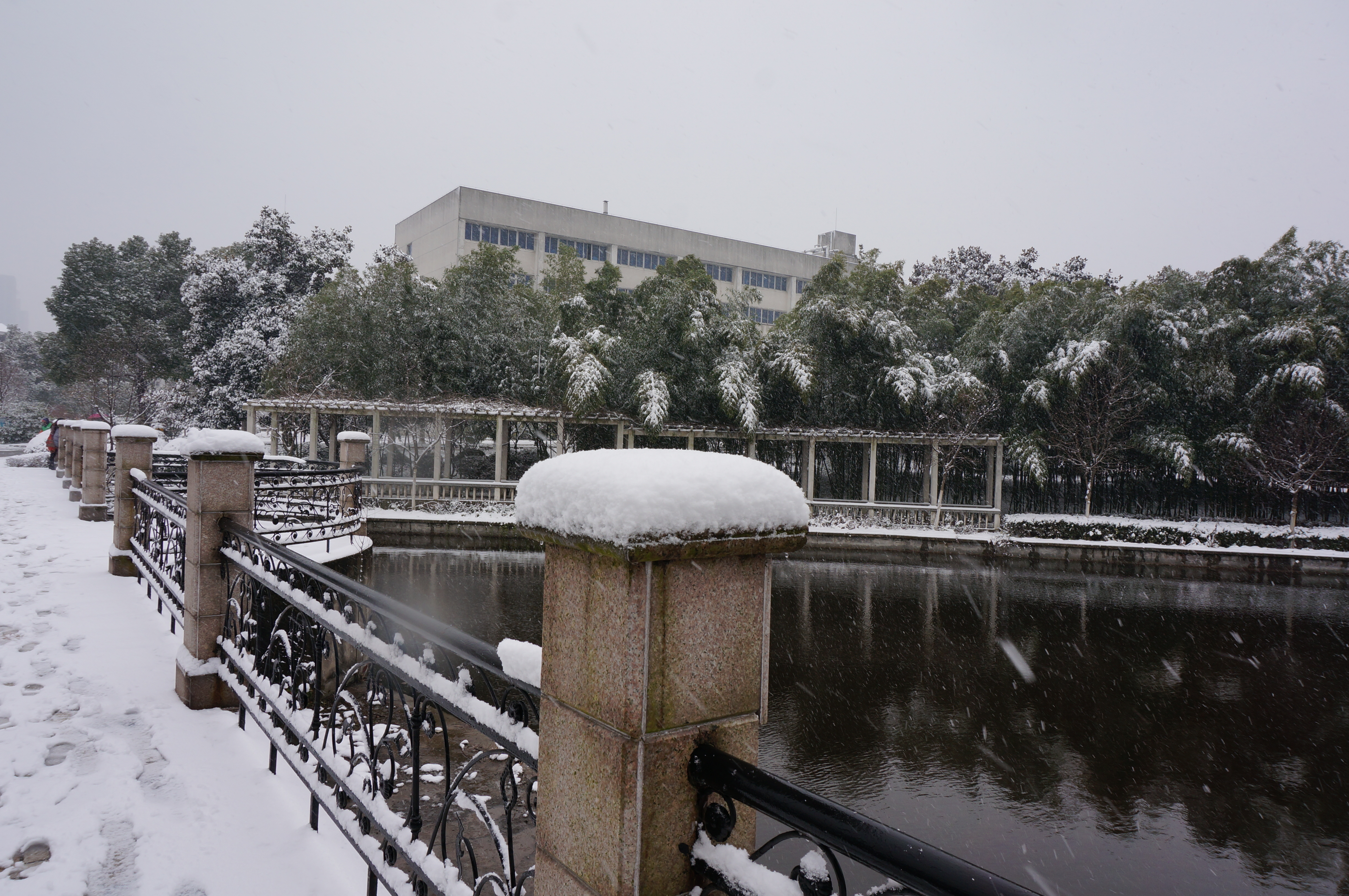 <a href='/2015/0129/c41788a740426/page.htm' target='_blank' title='合肥光源雪迎新春'>合肥光源雪迎新春</a>
