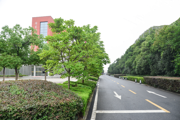 <a href='/2021/1015/c41803a729396/page.htm' target='_blank' title='【风物志】实验室夏景'>【风物志】实验室夏景</a>