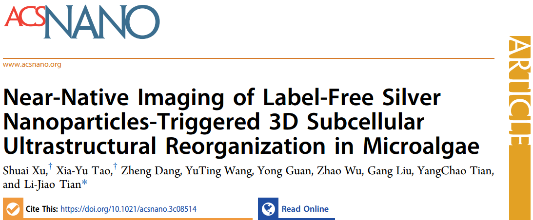 <a href='/2024/0122/c42669a727898/page.htm' target='_blank' title='中国科学技术大学田立娇、田扬超团队《ACS Nano》：Cryo-SXT可视化银纳米颗粒重塑微藻亚细胞结构'>中国科学技术大学田立娇、田扬超团队《ACS Nano》：Cryo-SXT可视...</a>