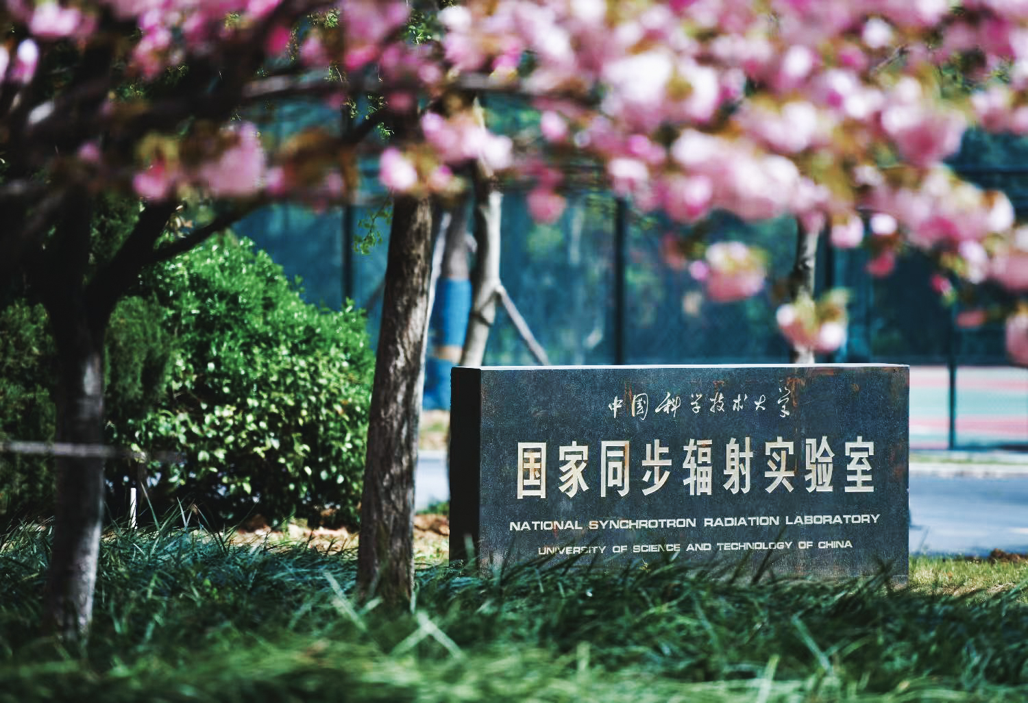 国家同步辐射实验室