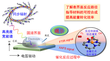 <a href='/2022/1110/c41788a740013/page.htm' target='_blank' title='2021年度安徽省科学技术奖励大会召开 我实验室获安徽省自然科学一等奖 安徽省科学技术进步奖一等奖'>2021年度安徽省科学技术奖励大会召开 我实验室获安徽省自然科学一等奖 安徽...</a>